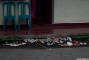 dsc_2222.jpg