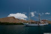 dsc_3711.jpg
